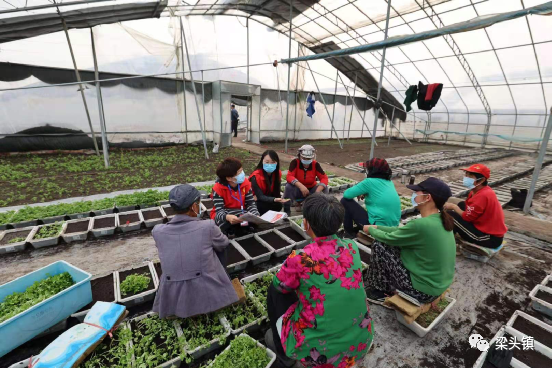 村文化廣場文化墻_村文化廣場建設(shè)簡介_村文化廣場設(shè)計(jì)