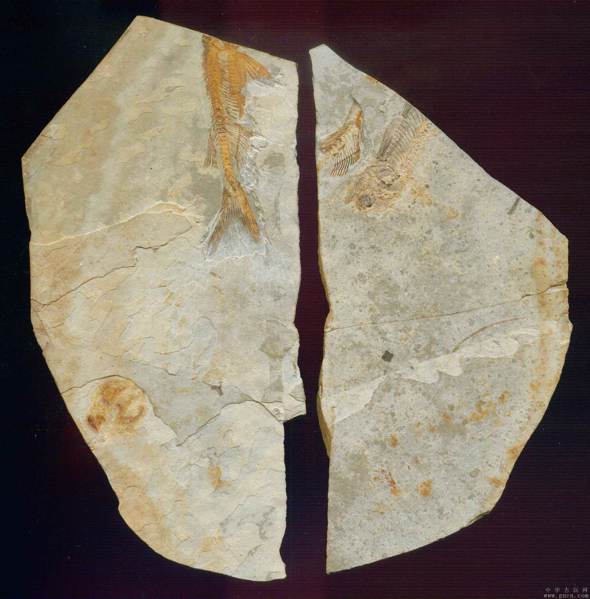 唐磚與宋磚區(qū)別_劈開磚和文化磚的區(qū)別_文化石和文化磚的區(qū)別