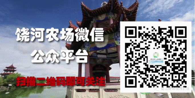 班級走廊文化墻設(shè)計(jì)_班級走廊文化墻壁布置_公司走廊文化設(shè)計(jì)