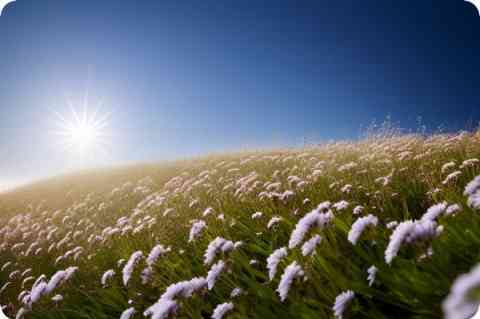 亞克力和樹脂的區(qū)別