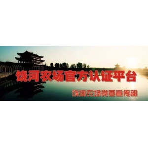 饒河農(nóng)場小學(xué)開展最美班級走廊文化墻設(shè)計活動